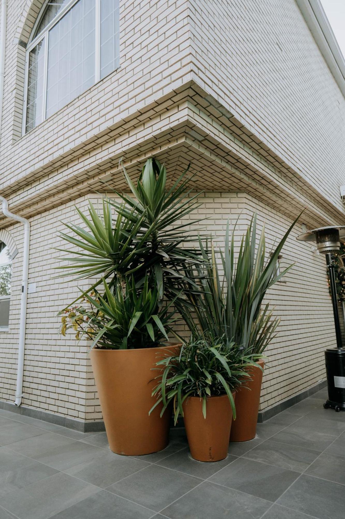 ホテル Casa Asturias エンセナダ エクステリア 写真